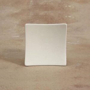 Swoop Sushi Mini Plate