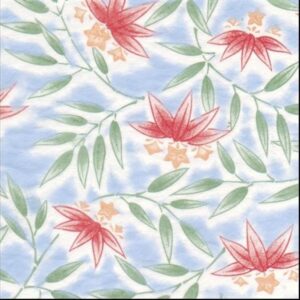 Summer Flowers Coloured